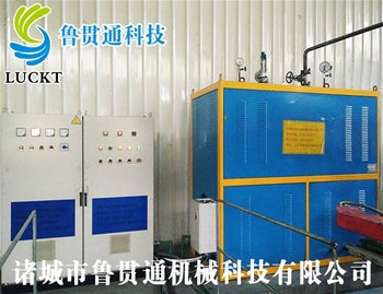 0.2噸電磁蒸汽發生
