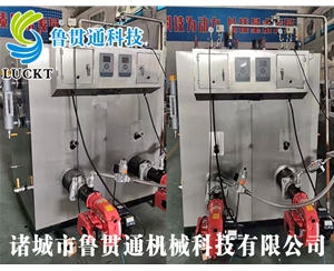 生物質蒸汽發生器
