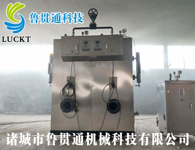 生物質蒸汽發生器