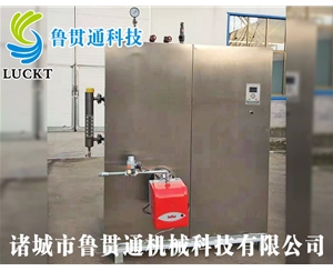 生物質蒸汽發生器