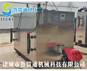 燃氣（油）蒸汽發生器 現貨供應，工廠直銷，規格型號眾多，可來電咨詢