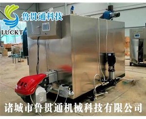 1噸燃氣（油）蒸汽發生器 現貨供應，工廠直銷，規格型號眾多，可來電咨詢